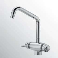 Huber Clinic Plus thermostatic kitchen faucet chrome CPT6501021