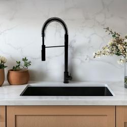Waterevolution Flow Semi=professional kitchen mixer with extractable shower and swivel spout Black T157PR