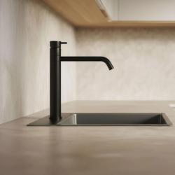 Waterevolution Flow Kitchen mixer with swivel spout Black T150PR
