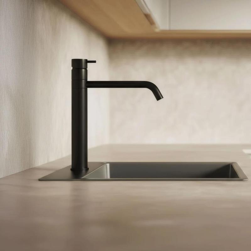 Waterevolution Flow Kitchen mixer with swivel spout Black T150PR