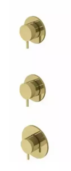 Waterevolution Flow Built-in Shower Thermostat with 2 shut-off valves brushed brass 1208916452