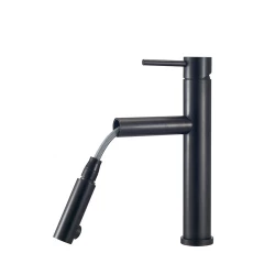 CARESSI Black Line single lever kitchen mixer with pull-out spout stainless steel black CA116BK U ECO 1208920652