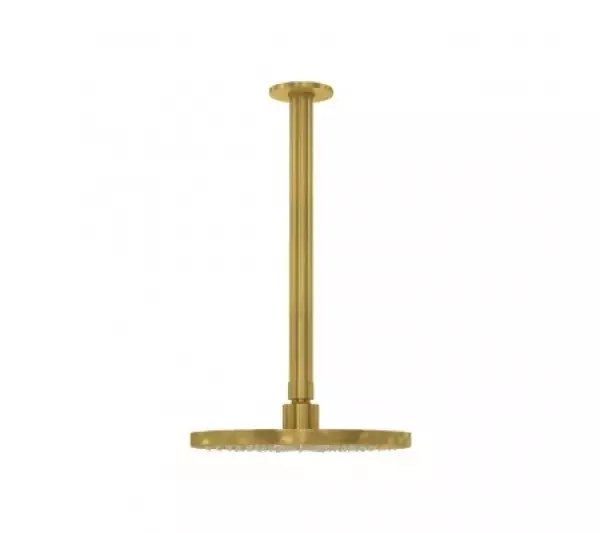 Waterevolution Flow head shower 200mm with ceiling connection Brushed Brass T1642LE