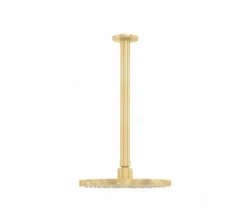 Waterevolution Flow head shower 200mm with ceiling connection Light Gold T1642WGE