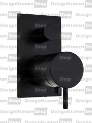 Waterevolution Flow Built-in Shower Thermostat with 2 outlets matte black T132TBBPR with TEC box