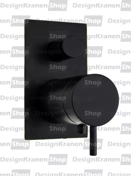 Waterevolution Flow Built-in Shower Thermostat with 2 outlets matte black T132TBBPR with TEC box