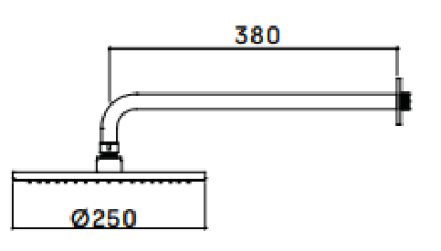 Waterevolution Flow overhead shower 250 mm with wall connection, stainless steel T164125IE