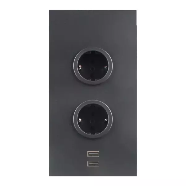 Power socket with 2 earthed outlets and 2 USB chargers black 1208953215