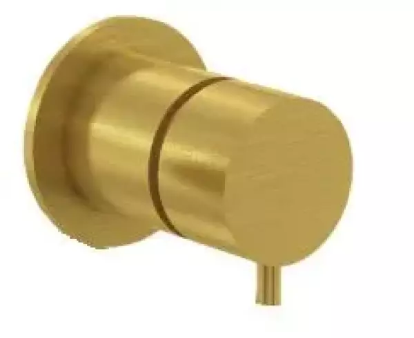 Waterevolution Flow concealed 2 exits diverter brushed brass with round rosette T1482RLE