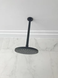 Waterevolution Flow head shower 250mm with ceiling connection matt black T164225PR