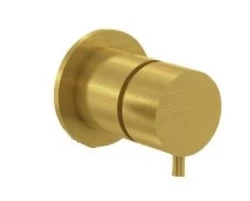 Waterevolution Flow concealed stop valve Brushed Brass T143EBLE