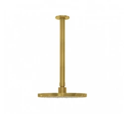 Waterevolution Flow head shower 250mm with ceiling connection brushed brass T164225LE