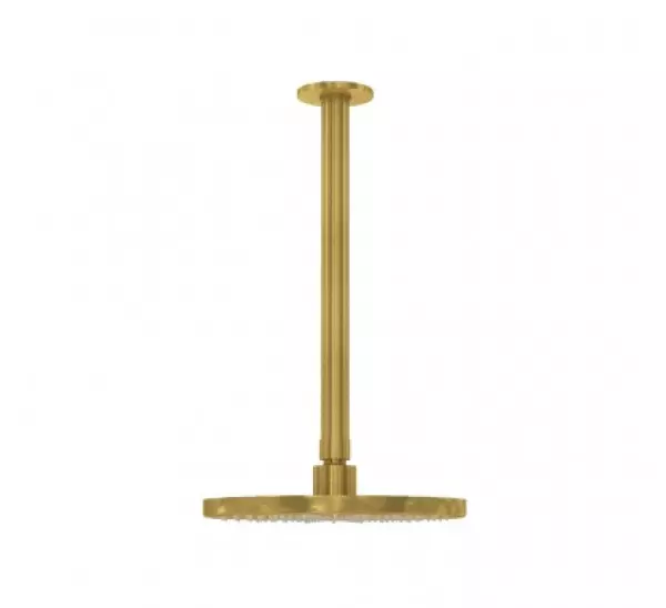 Waterevolution Flow head shower 250mm with ceiling connection brushed brass T164225LE