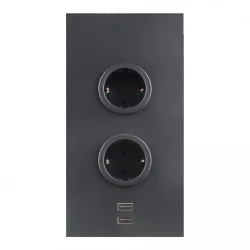 Indux Power socket 2ST22 with 2 sockets and 2 USB sockets Black