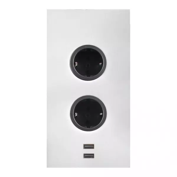 Indux Power socket 2ST22 with 2 outlets and 2 USB sockets White - with earthing pin