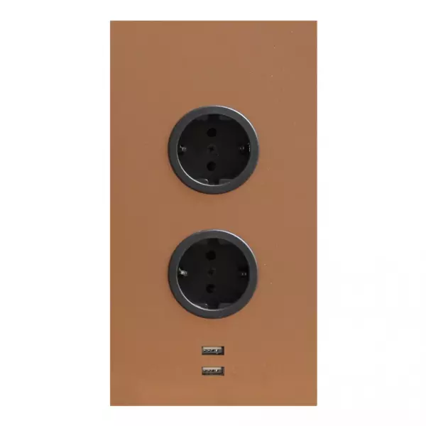 Indux Power socket 2ST22 with 2 outlets and 2 USB sockets Copper - with earthing pin