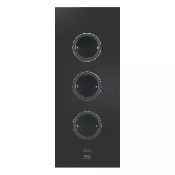 Indux Power socket 3ST29 with 3 outlets and 2 USB sockets Black