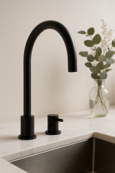 Waterevolution Flow 2-hole kitchen mixer matte black T151PR