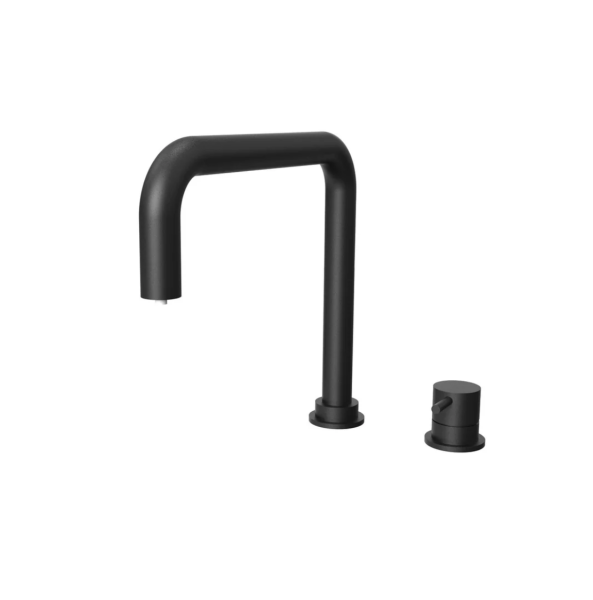 Waterevolution Flow 2-hole kitchen mixer matte black T151HPR