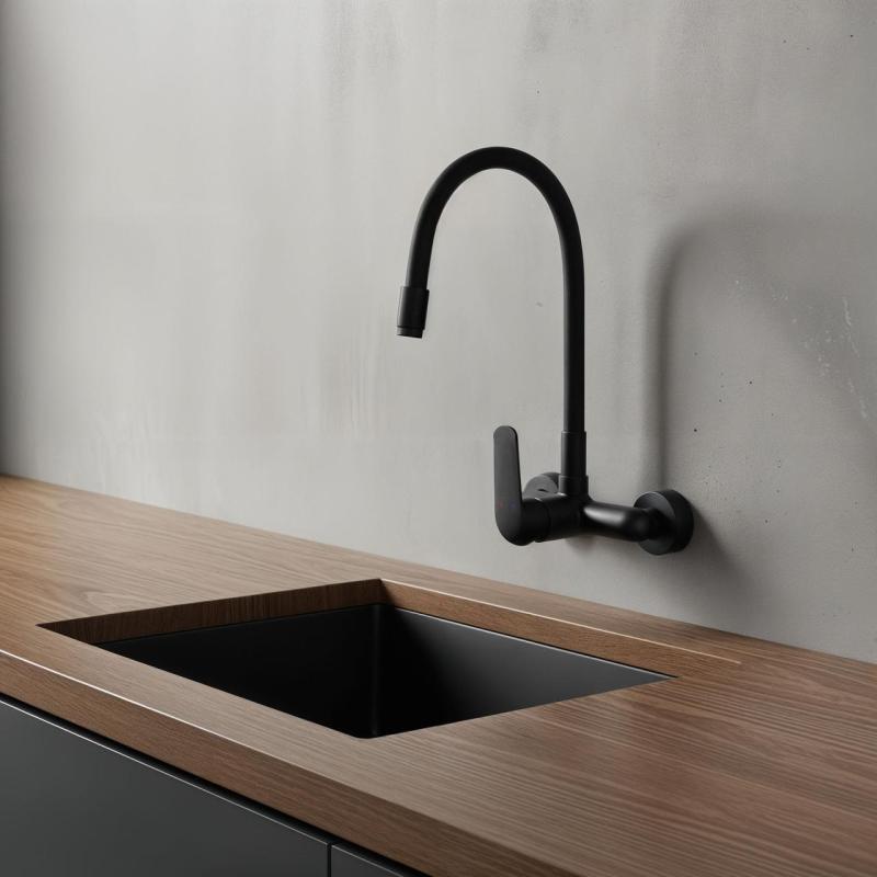 Aquatrimo Chopin wall-mounted faucet with high flexible spout matte black 21CP8462SW