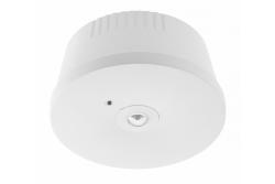 Emergency lighting fixture OGLA LED,3W,200lm,AC220-240V,50-60Hz,IP20,6400K,3H,single task,TEST button 1208963016