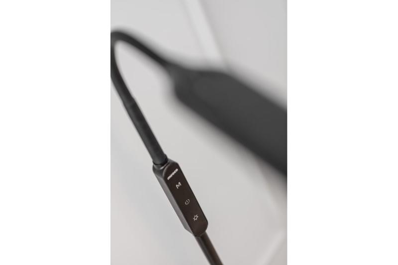 Decor Floor lamp Vasalia 8W 450lm AC220-240V 4-CCT 5 Step Dimming timer45' PF>0 5 RA>80 Black 1208963348