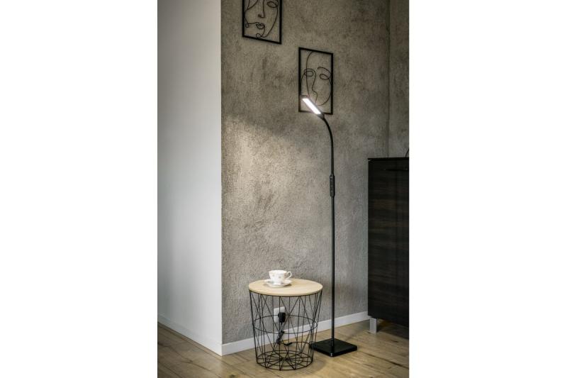 Decor Floor lamp Vasalia 8W 450lm AC220-240V 4-CCT 5 Step Dimming timer45' PF>0 5 RA>80 Black 1208963348