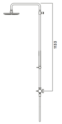 Waterevolution Flow thermostatic shower combination with rain shower chrome 250mm T141TN2501