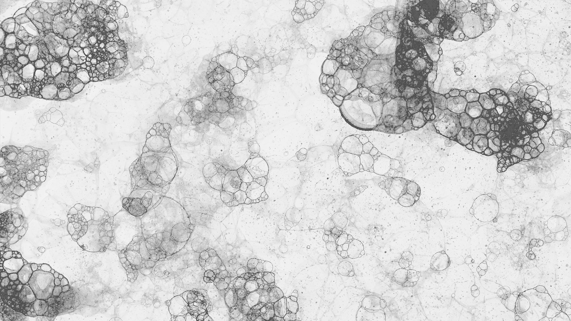 205_en_media-1_mold-16x9.jpg